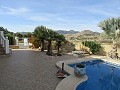 Immaculée Villa de 4/5 chambres avec piscine privée à La Romana in  Dream Villas Alicante