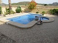 Immaculée Villa de 4/5 chambres avec piscine privée à La Romana in  Dream Villas Alicante