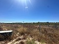 Long 10.000sqm building plot in Pinoso in  Dream Villas Alicante