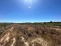 Long 10.000sqm building plot in Pinoso in  Dream Villas Alicante