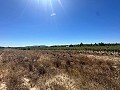 Long 10.000sqm building plot in Pinoso in  Dream Villas Alicante