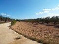 Grande maison de campagne, à distance de marche de la ville in  Dream Villas Alicante