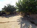 Grande maison de campagne, à distance de marche de la ville in  Dream Villas Alicante