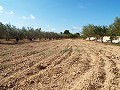 Grande maison de campagne, à distance de marche de la ville in  Dream Villas Alicante