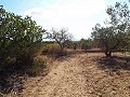 Grande maison de campagne, à distance de marche de la ville in  Dream Villas Alicante