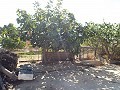Grande maison de campagne, à distance de marche de la ville in  Dream Villas Alicante
