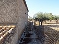 Grande maison de campagne, à distance de marche de la ville in  Dream Villas Alicante