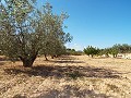 Grande maison de campagne, à distance de marche de la ville in  Dream Villas Alicante