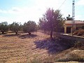 Grande maison de campagne, à distance de marche de la ville in  Dream Villas Alicante
