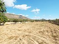 Grande maison de campagne, à distance de marche de la ville in  Dream Villas Alicante