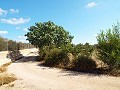 Grande maison de campagne, à distance de marche de la ville in  Dream Villas Alicante