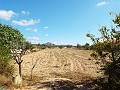 Grande maison de campagne, à distance de marche de la ville in  Dream Villas Alicante