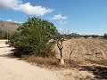 Grande maison de campagne, à distance de marche de la ville in  Dream Villas Alicante