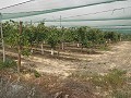 Terreno cerca de Alenda Golf in  Dream Villas Alicante