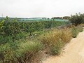 Terreno cerca de Alenda Golf in  Dream Villas Alicante