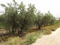 Terreno cerca de Alenda Golf in  Dream Villas Alicante