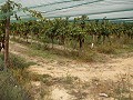 Baugrundstück in der Nähe von Alenda Golf in  Dream Villas Alicante