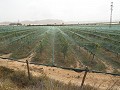 Double Building plot near Alenda golf  in  Dream Villas Alicante