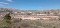 Terrain De 10.012m² En Position Surélevée in  Dream Villas Alicante