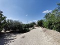 Two properties on one plot in Crevillente in  Dream Villas Alicante