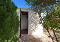 Hermosa y espaciosa villa de 2 dormitorios en Salinas con piscina privada in  Dream Villas Alicante