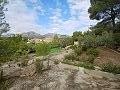 Mooi landhuis met 2 slaapkamers in La Romana in  Dream Villas Alicante