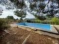 Mooi landhuis met 2 slaapkamers in La Romana in  Dream Villas Alicante
