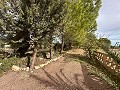 Immense maison de campagne de 6 chambres à Ubeda in  Dream Villas Alicante