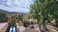 5 Bedroom Country House Including Guest Apartment in  Dream Villas Alicante