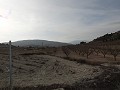 Niedliches Höhlenhaus zum Renovieren in  Dream Villas Alicante