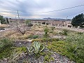 2 casas de campo en novelda in  Dream Villas Alicante