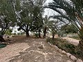2 casas de campo en novelda in  Dream Villas Alicante