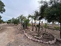 2 casas de campo en novelda in  Dream Villas Alicante