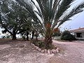 2 casas de campo en novelda in  Dream Villas Alicante