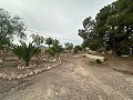 2 casas de campo en novelda in  Dream Villas Alicante