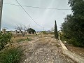 2 casas de campo en novelda in  Dream Villas Alicante