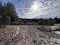 Incredible villa with pool in Pinoso in  Dream Villas Alicante