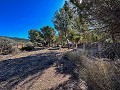 Beeindruckende Villa mit 9 Schlafzimmern in Biar in  Dream Villas Alicante
