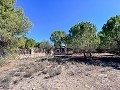 Beeindruckende Villa mit 9 Schlafzimmern in Biar in  Dream Villas Alicante