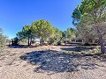 Beeindruckende Villa mit 9 Schlafzimmern in Biar in  Dream Villas Alicante