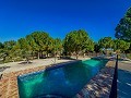 Beeindruckende Villa mit 9 Schlafzimmern in Biar in  Dream Villas Alicante