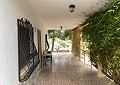 Villa mit 3 Schlafzimmern und 1 Bad in toller Lage mit Pool und Gästehaus auf 2 Etagen in Sax in  Dream Villas Alicante
