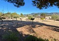Villa mit 3 Schlafzimmern und 1 Bad in toller Lage mit Pool und Gästehaus auf 2 Etagen in Sax in  Dream Villas Alicante