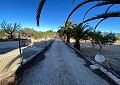 Villa mit 3 Schlafzimmern und 1 Bad in toller Lage mit Pool und Gästehaus auf 2 Etagen in Sax in  Dream Villas Alicante