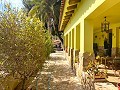 Villa met 3 bedden en 2 badkamers Loop naar de stad in Novelda in  Dream Villas Alicante