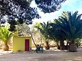 Villa met 3 bedden en 2 badkamers Loop naar de stad in Novelda in  Dream Villas Alicante