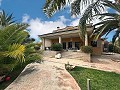 Unglaubliche Luxusvilla in Elda in  Dream Villas Alicante