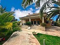 Unglaubliche Luxusvilla in Elda in  Dream Villas Alicante