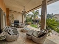 Unglaubliche Luxusvilla in Elda in  Dream Villas Alicante