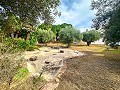 Incredible villa 10 minutes from the beach in Mutxamel in  Dream Villas Alicante